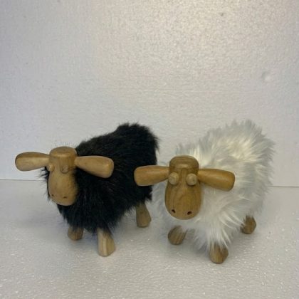 TEAK SHEEP