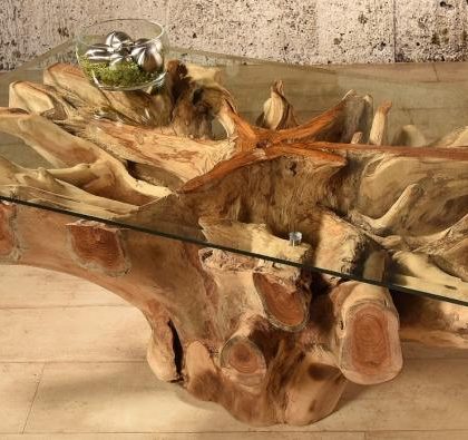 Rectangular Amazonas coffee table