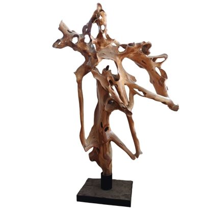Abstract teak root with