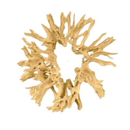 Round teak root
