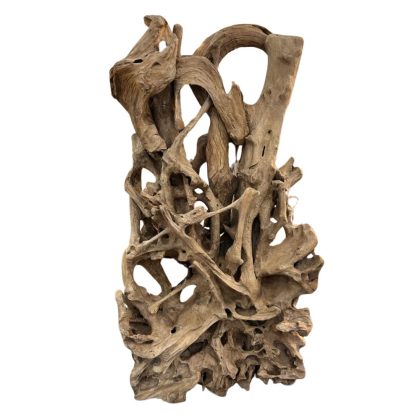 Abstract teak root divider
